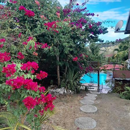 Le Diamant Charmante Villa Pour La Famille Ou Entre Amis Spa Et Piscine Dış mekan fotoğraf