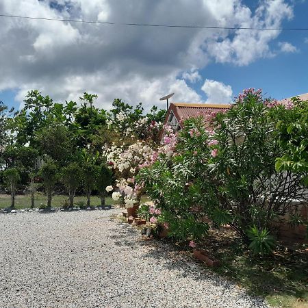 Le Diamant Charmante Villa Pour La Famille Ou Entre Amis Spa Et Piscine Dış mekan fotoğraf