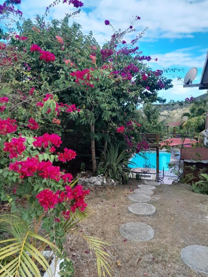 Le Diamant Charmante Villa Pour La Famille Ou Entre Amis Spa Et Piscine Dış mekan fotoğraf